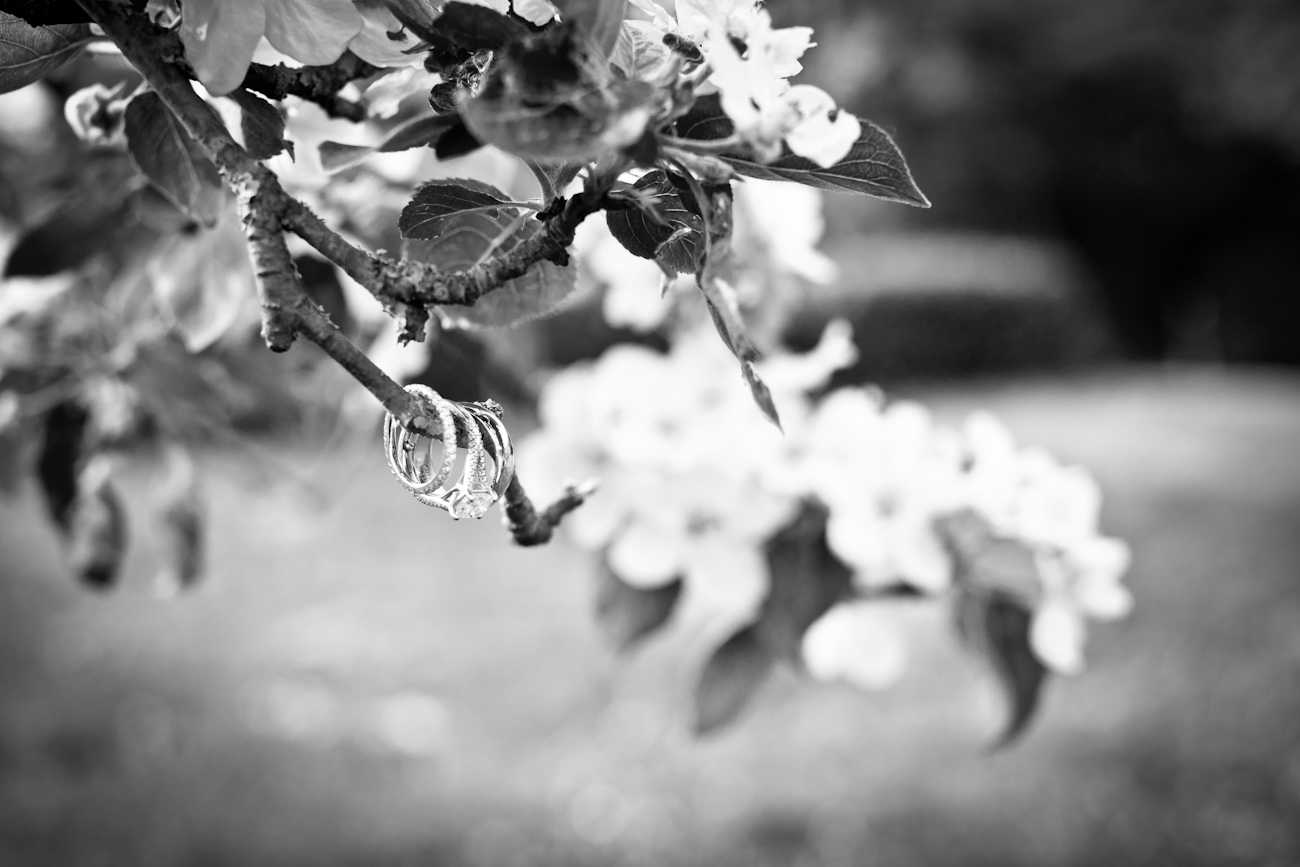 hochzeit-kloster-eberbach-047